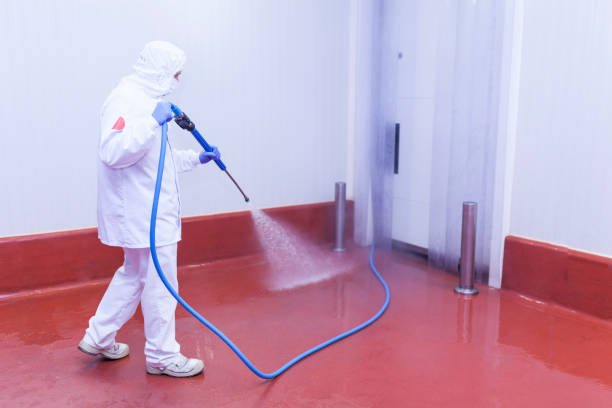 Paint Preparation in Huntington Park, CA